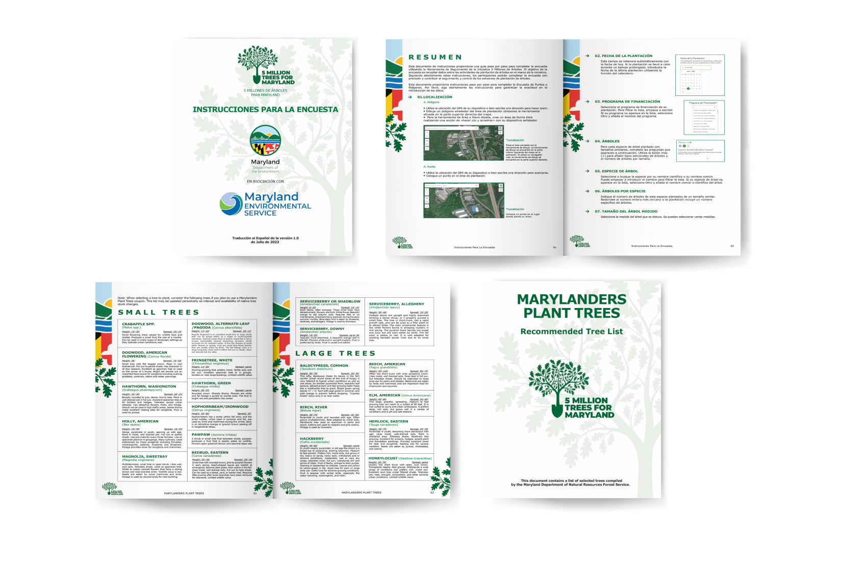 Informational Brochures